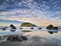 After the Storm Fine Art Print