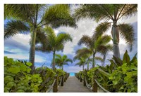 Paradise Path Fine Art Print