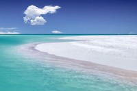 Tropical Simplicity Fine Art Print