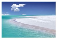 Tropical Simplicity Fine Art Print