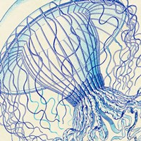 Vintage Jellyfish II Fine Art Print