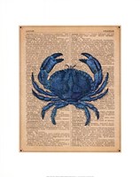 Vintage Crab Framed Print