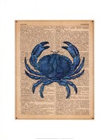 Vintage Crab Fine Art Print