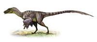 Velociraptor, a Prehistoric Era Dinosaur Fine Art Print