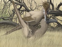 Two Velociraptor's during MatingSseason Fine Art Print