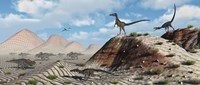 Velociraptors Stalking a Herd of Protoceratops Fine Art Print