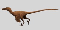 Velociraptor Mongoliensis from the Cretaceous Period Fine Art Print