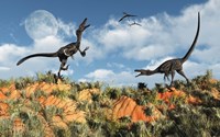 Velociraptors involved in a Territorial Dispute Fine Art Print