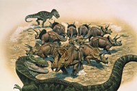A Herd of Triceratops Defend their Territory Fine Art Print