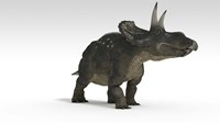 Triceratops Dinosaur 2 Fine Art Print