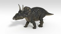 Triceratops Dinosaur 3 Fine Art Print