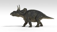 Triceratops Dinosaur 5 Fine Art Print