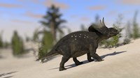 Triceratops Dinosaur 8 Fine Art Print