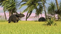 Triceratops Dinosaur 9 Fine Art Print