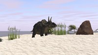 Triceratops on a Beach Fine Art Print
