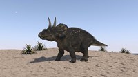Triceratops Walking across a Barren Landscape 2 Fine Art Print