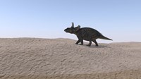 Triceratops Walking across a Barren Landscape 3 Fine Art Print