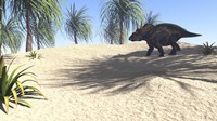 Triceratops Walking in a Tropical Environment 1 Fine Art Print