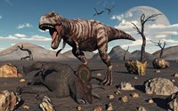 A T Rex is about to make a Meal of a Dead Triceratops Fine Art Print