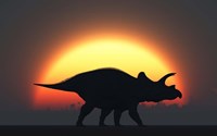 A Silhouetted Triceratops strolling Past a Setting Sun Fine Art Print