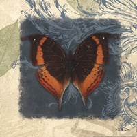 Swirl Butterfly II Fine Art Print