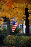 Fall Flag Fine Art Print