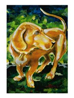 Sigmund Fine Art Print