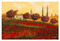 Papaveri Toscana II Fine Art Print