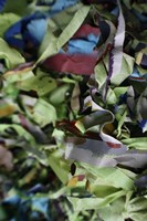 Color Cups & Tape 41 Fine Art Print