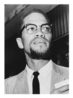 Malcolm X at Queens Court Fine Art Print