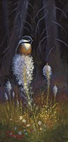 Beargrass Chickadee Fine Art Print