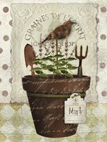 Herb Pot Mint Fine Art Print