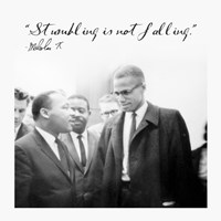 Stumbling is Not Falling Fine Art Print