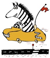 Zippy Zebra Fine Art Print