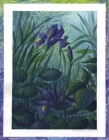 Water Iris Fine Art Print