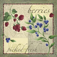 Berry Patch Fine Art Print