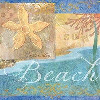 Seashells II Fine Art Print