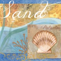 Seashells III Fine Art Print