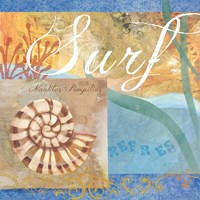 Seashells IV Fine Art Print