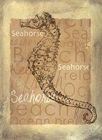 Shore Life IV Fine Art Print