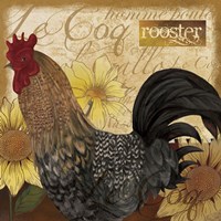 Rooster Fine Art Print
