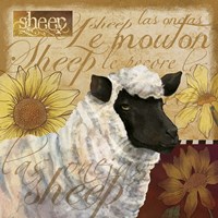 Sheep Fine Art Print