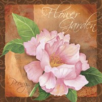 Peony Fine Art Print