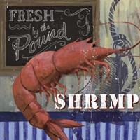 Shrimp Fine Art Print