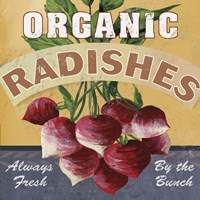 Radishes Fine Art Print