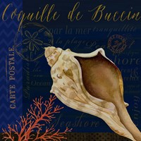 Coastal Blue III Fine Art Print