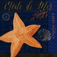 Coastal Blue IV Fine Art Print