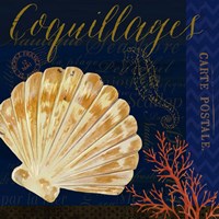 Coastal Blue V Fine Art Print