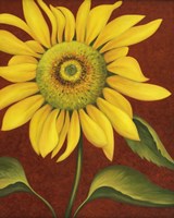 Sunflower Fine Art Print
