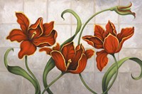 Parrot Tulips Fine Art Print